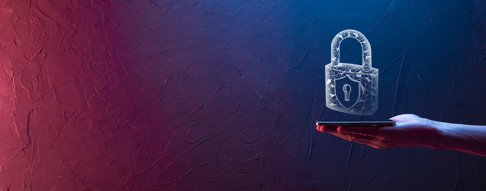 Protection des données personnelles sur les sites internet